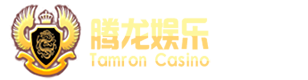 腾龙娱乐中心